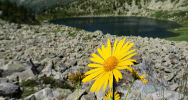 Unterwegs auf der sechsten, östlichen Etappe der Via Alta Vallemaggia