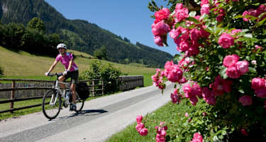 Tauernradweg oberhalb Schwarzach