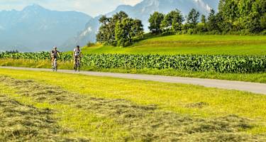 Heuernte bei Muntigl mit Untersberg im Hintergrund