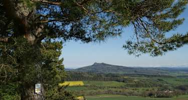 Hegauer Kegelspiel: Wannenbergtour