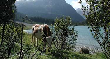 Südufer Schlierersee
