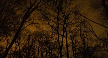 Hoia Baciu bei Cluj-Napoca