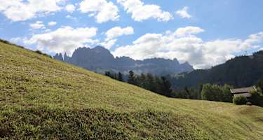 Blick auf den Rosengarten in Tiers