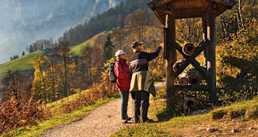 Deicheln am Soleleitungsweg