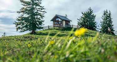 Die Bezoldhütte auf dem Toten Mann