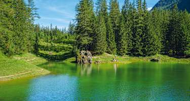 Liegewiesen säumen das Ostufer des Grünen Sees.