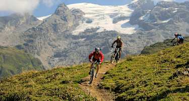 Downhill am Trudy Trail