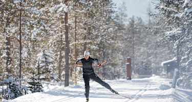 Durch den Wald bei der Langlaufarena Toblach