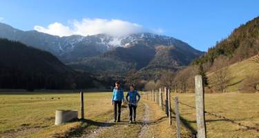 Über weite Wiesen mit dem Schneeberg im Rücken