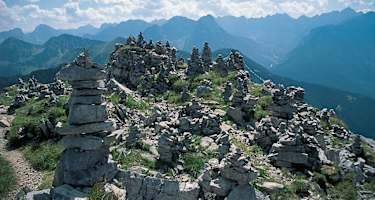Am Steinmandl-Garten oberhalb der Tölzer Hütte.