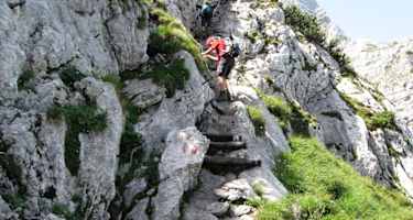 von nun an gehts bergab