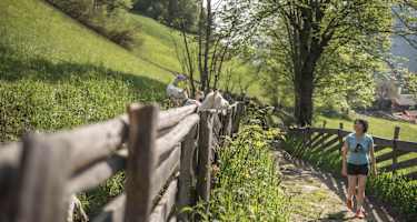 Unterwegs am Ultner Höfeweg