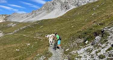 Vom Umbrailpass in Richtung Bocchetta di Forcola