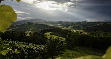 Thermenland-Weinstraße bei Fehring