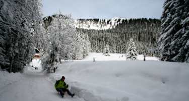 Rodelbahn von der Unteren Firstalm