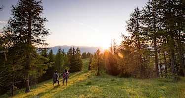 Unterwegs auf dem weichen Almboden der Hochrindl