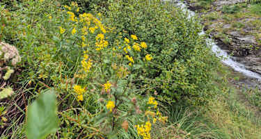 Aufstieg aus dem Tal