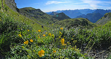 Isenthal -Klewenalp, kurz vor Hinterjochli