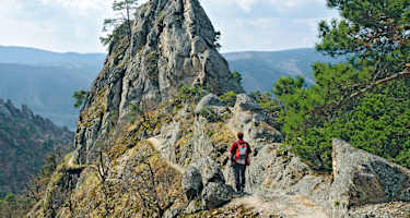 An steilen Felsflanken leitet der Vogelbergsteig zur Höhe.