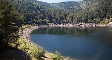 Lac Blanc liegt im Herzen der Vogesen.