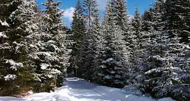 Aus dem Gsiesertal auf die Kradorfer Alm