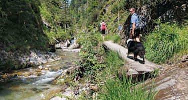 Vom Thumsee durch die Weißbachschlucht