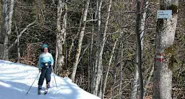 Perfekte Tour für die ganze Familie
