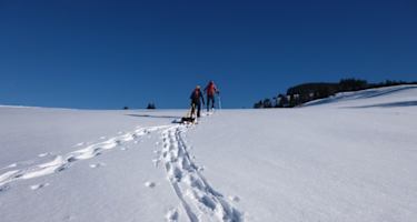 Von der Bolgenachbrücke auf den Burstkopf