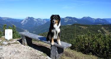 Von der Hindenburghütte über die Felsenquelle