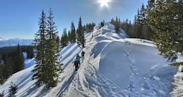 Von der Kaiserau auf den Lahngangkogel