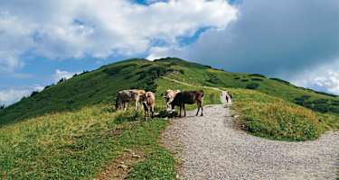 Von der Kanzelwandbahn-Bergstation auf das Fellhorn