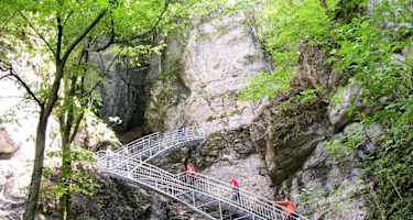 Von der Schindlhütte zur Ötscher-Tropfsteinhöhle