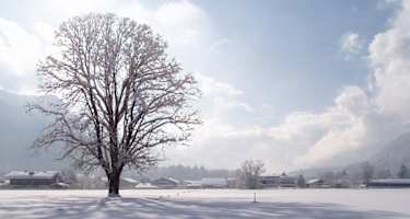 Von Gmund auf die Neureuth