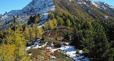 Von Iselsberg bis Nörsach