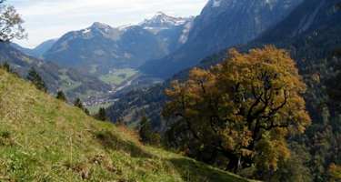 Von Mellau auf die Mörtelspitze