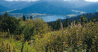 Grandioser Blick auf den Tegernsee.