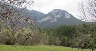 Blick zur Jubiläumsaussicht am Geyerstein