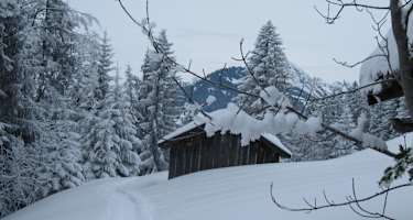 Winterwanderung am Wieseweg