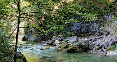 Vordere Tormäuer mit Erlauf