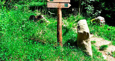 Am Walderlebnispfad in Aschbach