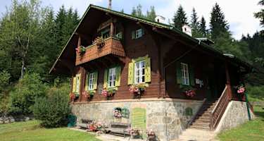 Waldheimat - Roseggers Waldschule