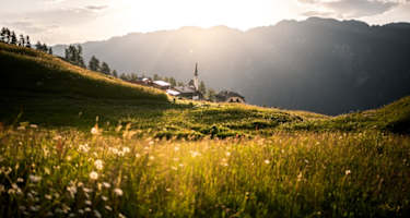 Schöne Stimmung bei Tenna