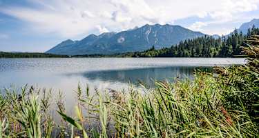 Barmseeufer im Sommer