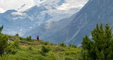 Am Panoramaweg Heimischgarte