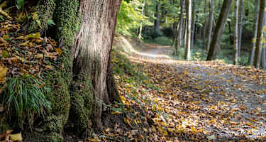 Wanderung im Kaskadental | Bad Kissingen