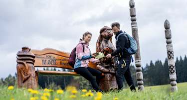 Meilensteine der Blockline in Oberholzhau
