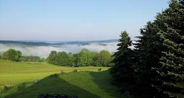 Morgennebel von der Kreuztanne aus