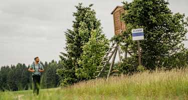 Am Hirschberg in Rübenau