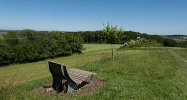 Am Paradiesgartenweg