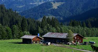 Die Scheuenalpe lädt zur Einkehr